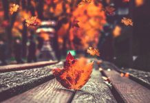 ¿Quién estará contigo en tu vejez?