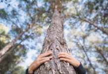 COMO ENCONTRAR TU CENTRO SIN PERDERTE EN EL CAMINO