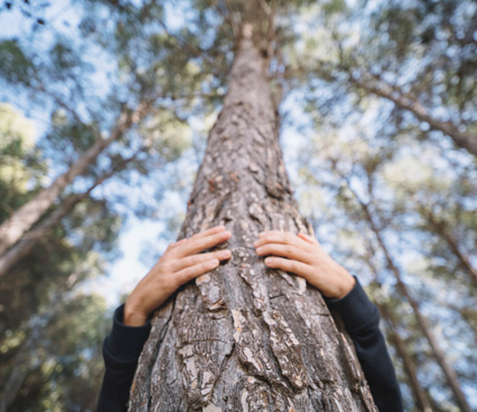 COMO ENCONTRAR TU CENTRO SIN PERDERTE EN EL CAMINO
