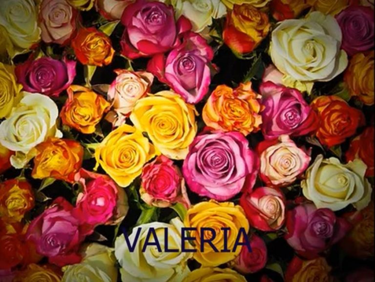 TODOS POR VALERIA