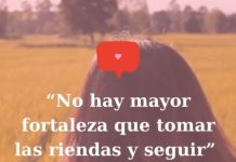 No hay mayor fortaleza que tomar las riendas y seguir