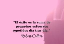 EL éxito es la suma de pequeños esfuerzos repetidos día tras día